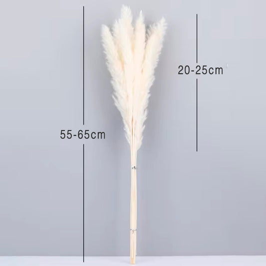 Dried White Spikes: Natural Elegance for your Home | Online shopping