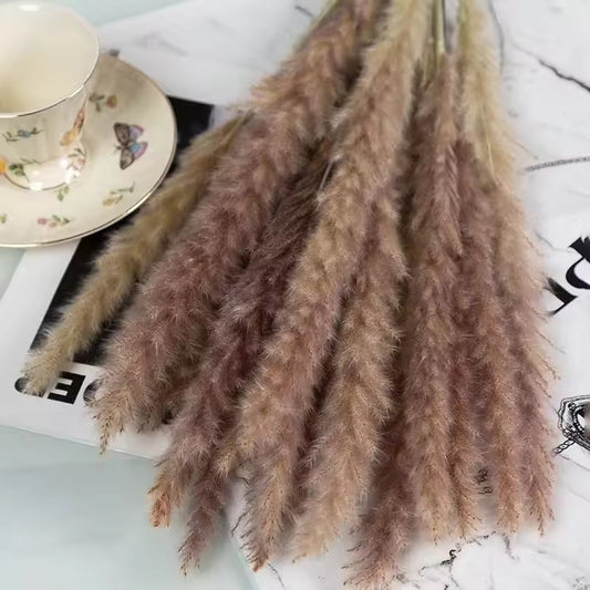 Dried Brown Spikes: Natural Elegance for your Home | Online shopping