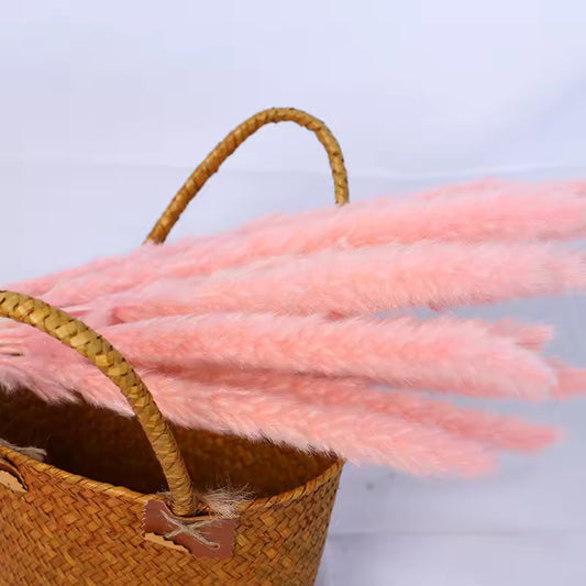 Dried Pink Spikes: Natural Elegance for your Home
